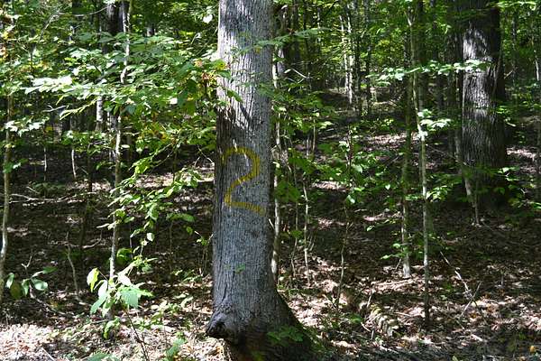 6.56 Acres of Residential Land for Sale in Eddyville, Kentucky