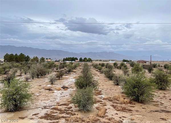 2.5 Acres of Residential Land for Sale in Pahrump, Nevada