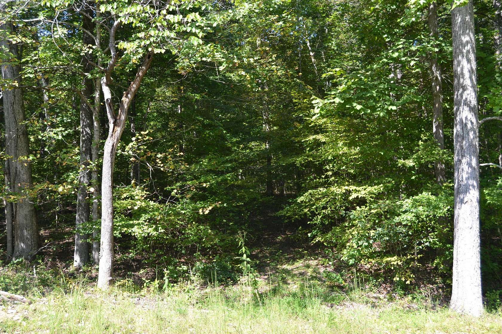 5 Acres of Residential Land for Sale in Eddyville, Kentucky
