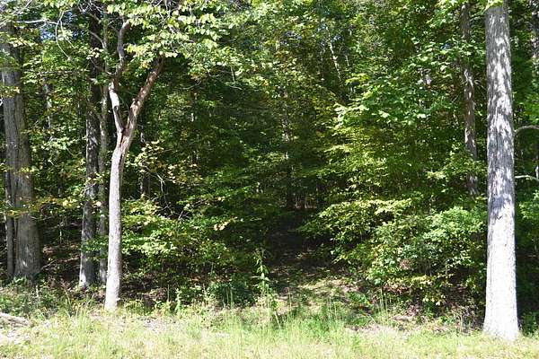 5 Acres of Residential Land for Sale in Eddyville, Kentucky