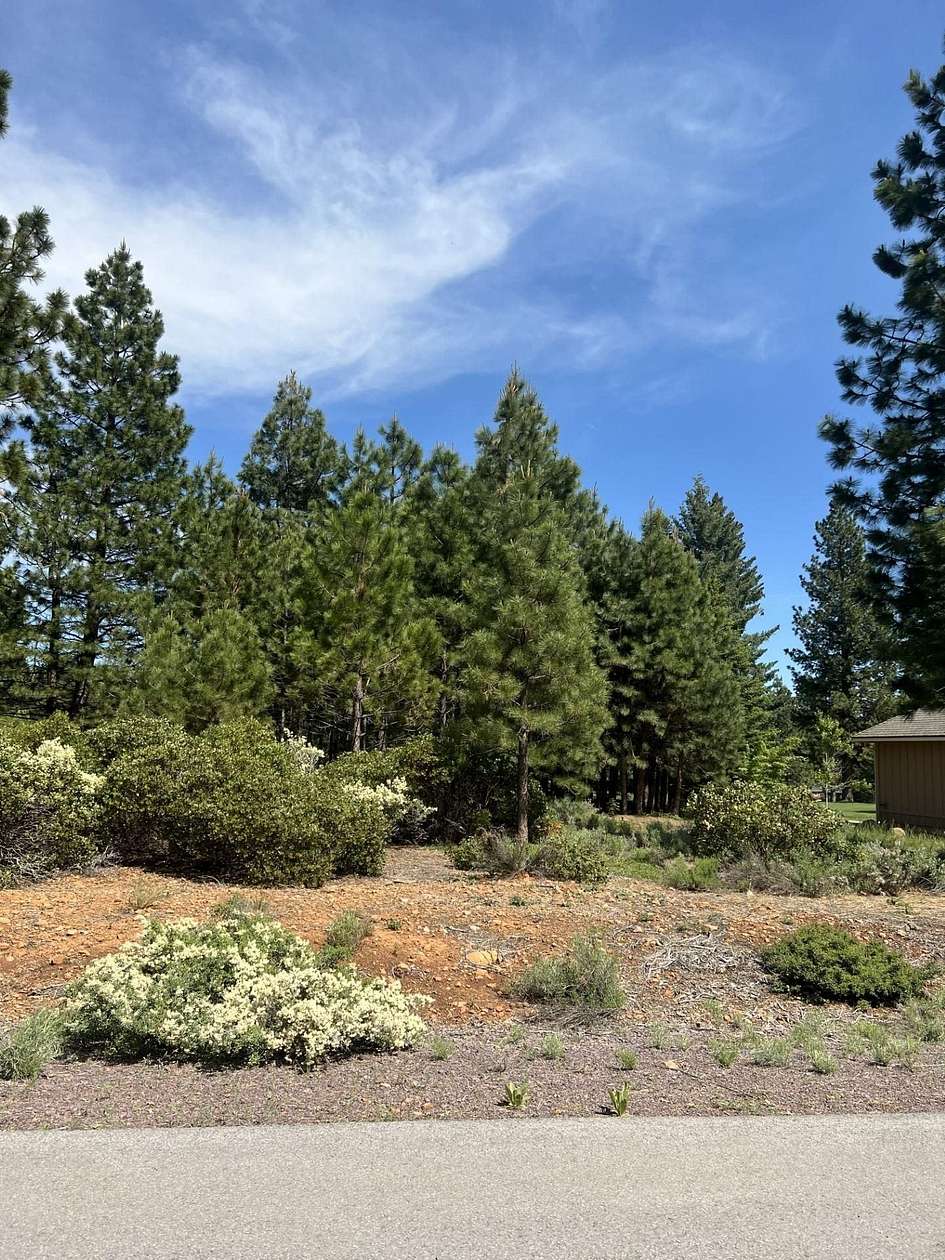 0.2 Acres of Land for Sale in Lake Almanor Peninsula, California