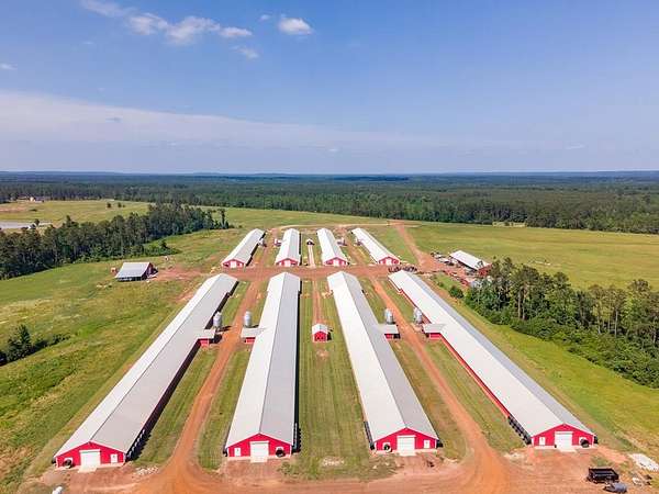 56 Acres of Agricultural Land for Sale in Douglass, Texas