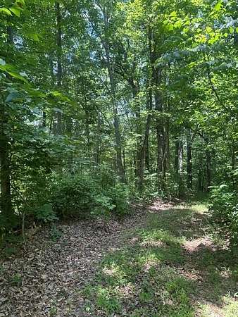 5.13 Acres of Residential Land for Sale in Whitleyville, Tennessee