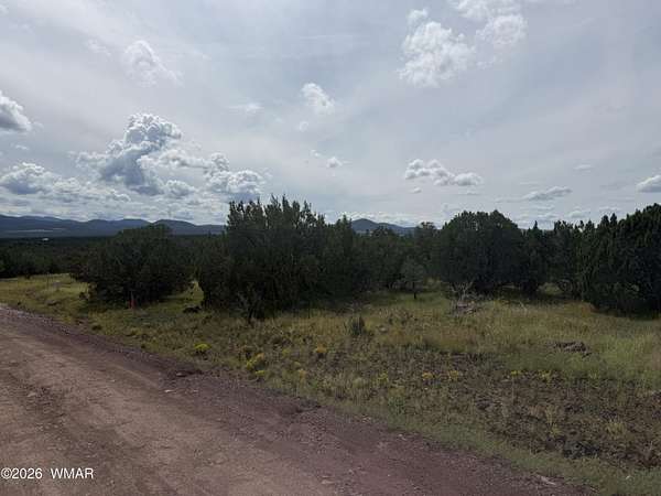 0.23 Acres of Residential Land for Sale in Vernon, Arizona