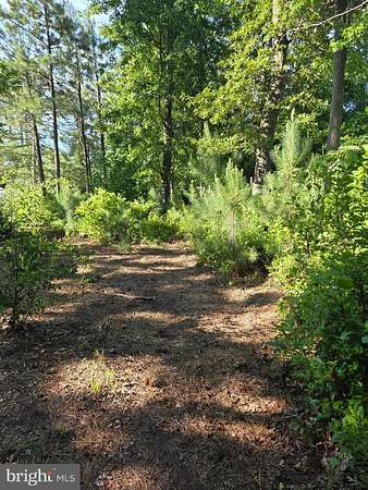 0.47 Acres of Residential Land for Sale in Ocean View, Delaware