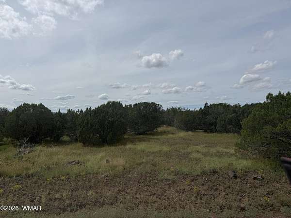 0.23 Acres of Residential Land for Sale in Vernon, Arizona