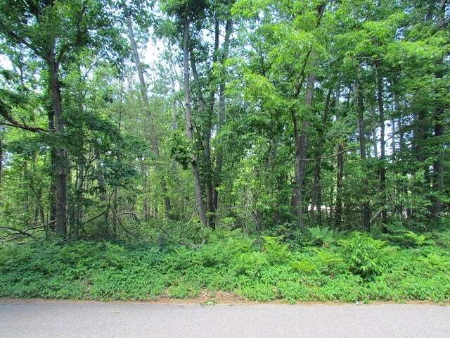 0.65 Acres of Land for Sale in Lewiston, Michigan
