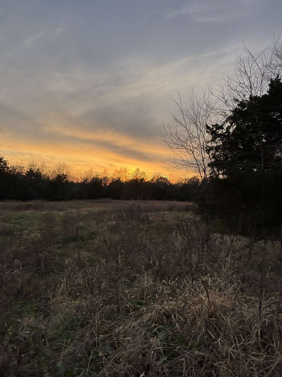 9.8 Acres of Residential Land for Sale in Lewisburg, Tennessee
