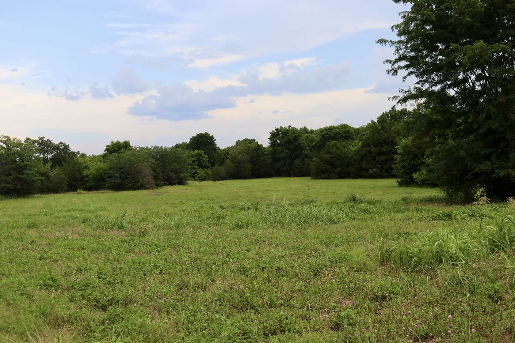 9.8 Acres of Residential Land for Sale in Lewisburg, Tennessee