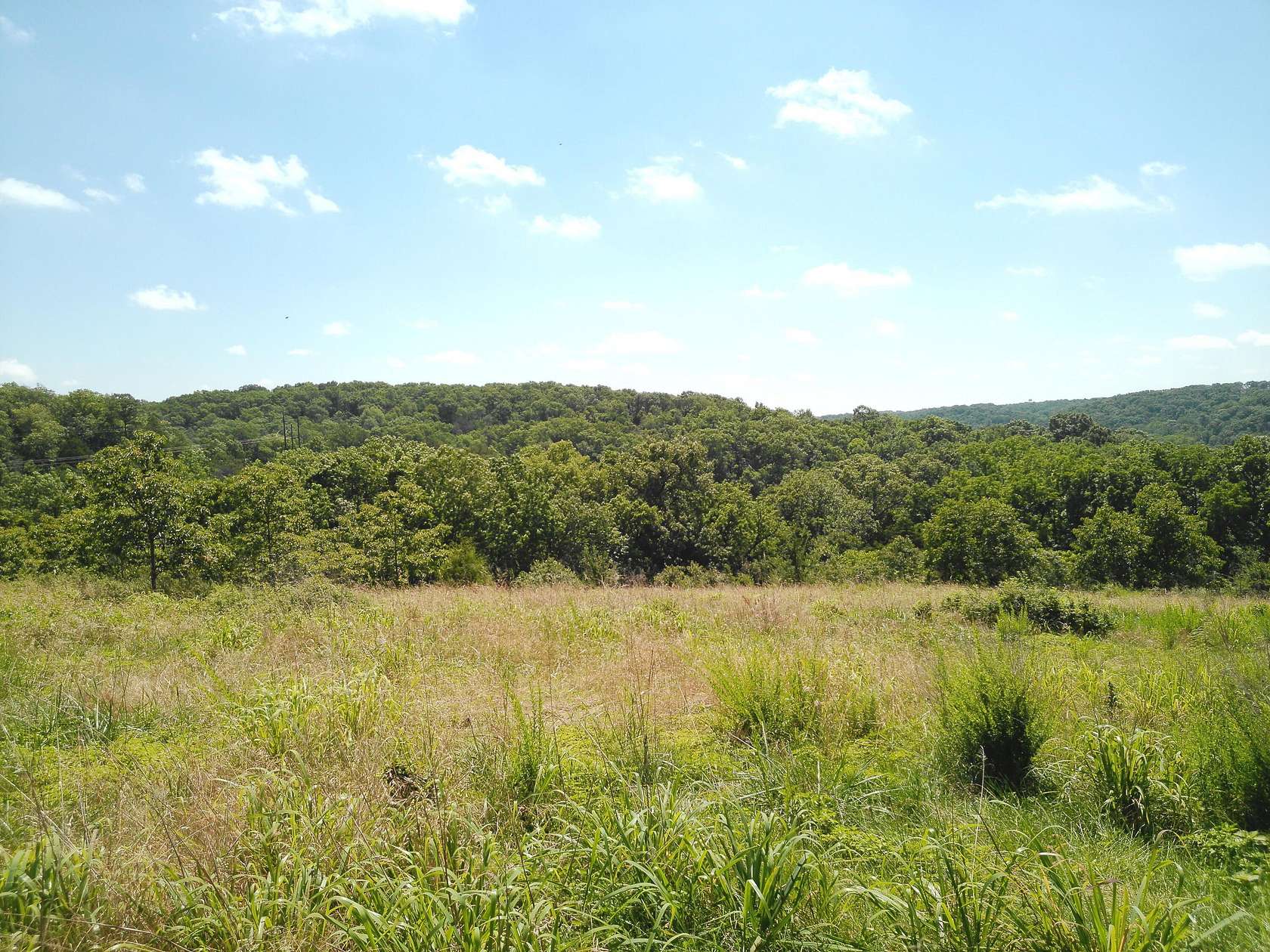 147 Acres of Recreational Land with Home for Sale in Pineville, Missouri