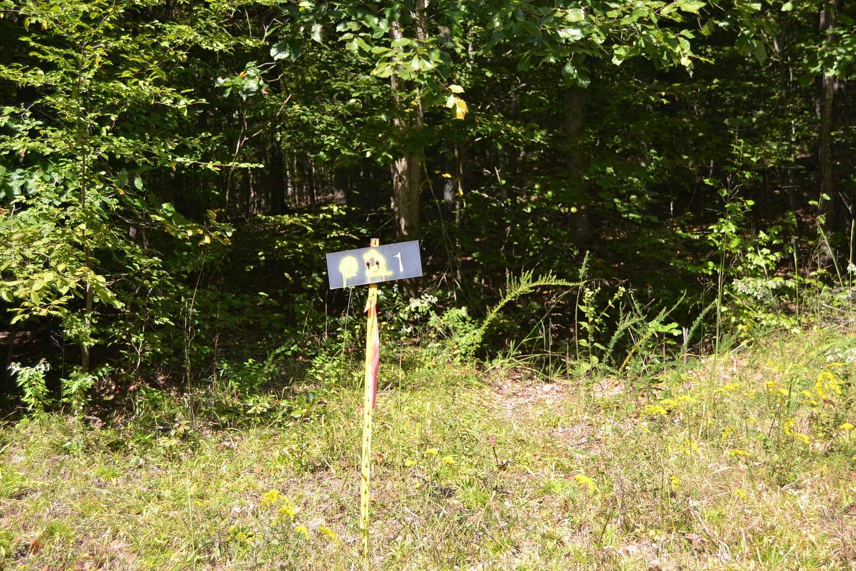 6.56 Acres of Residential Land for Sale in Eddyville, Kentucky