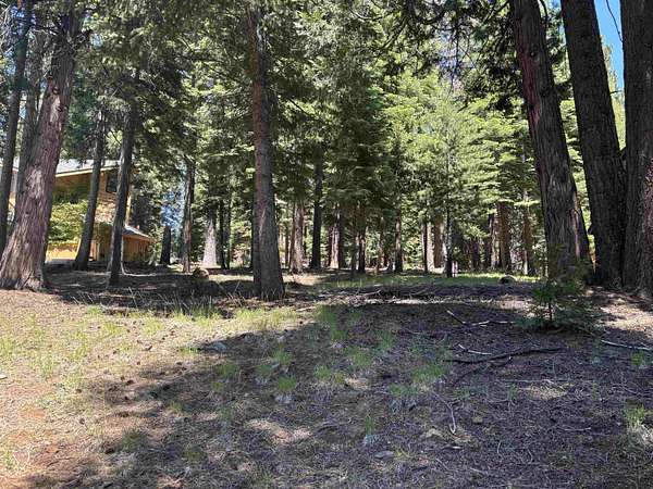 0.41 Acres of Residential Land for Sale in Lake Almanor Country Club, California