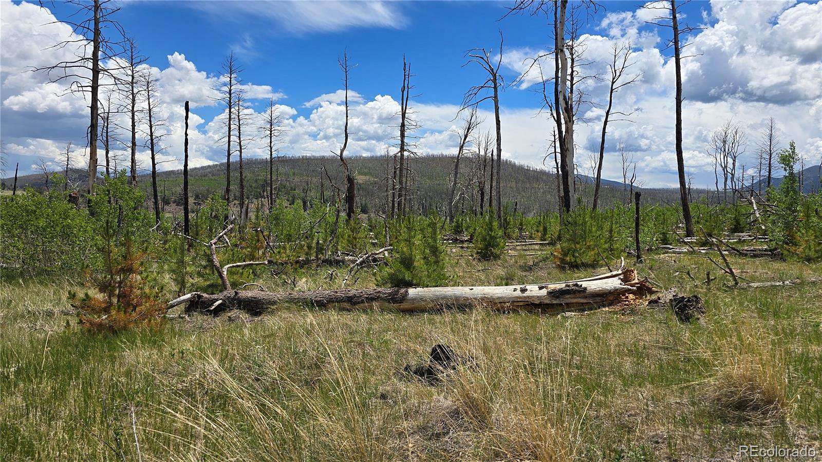 1.17 Acres of Residential Land for Sale in Fort Garland, Colorado