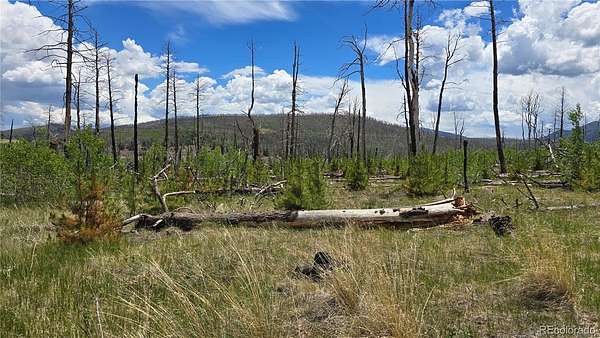 1.17 Acres of Residential Land for Sale in Fort Garland, Colorado