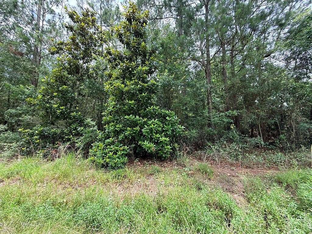 0.15 Acres of Residential Land for Sale in Bay St. Louis, Mississippi