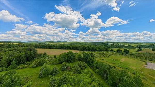 56.2 Acres of Land for Sale in Horseheads, New York
