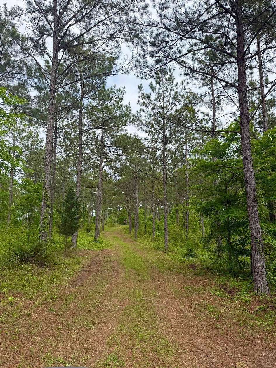86 Acres of Recreational & Residential Land for Sale in Queen City, Texas