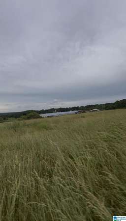 20 Acres of Land for Sale in Boaz, Alabama