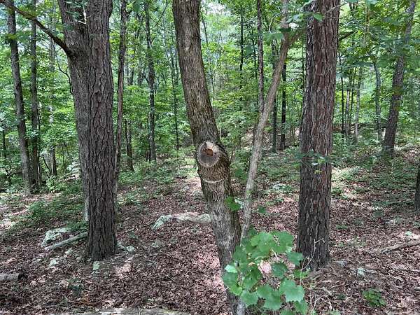 0.26 Acres of Residential Land for Sale in Fairfield Bay, Arkansas