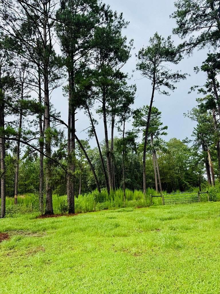 8.47 Acres of Residential Land for Sale in Valdosta, Georgia