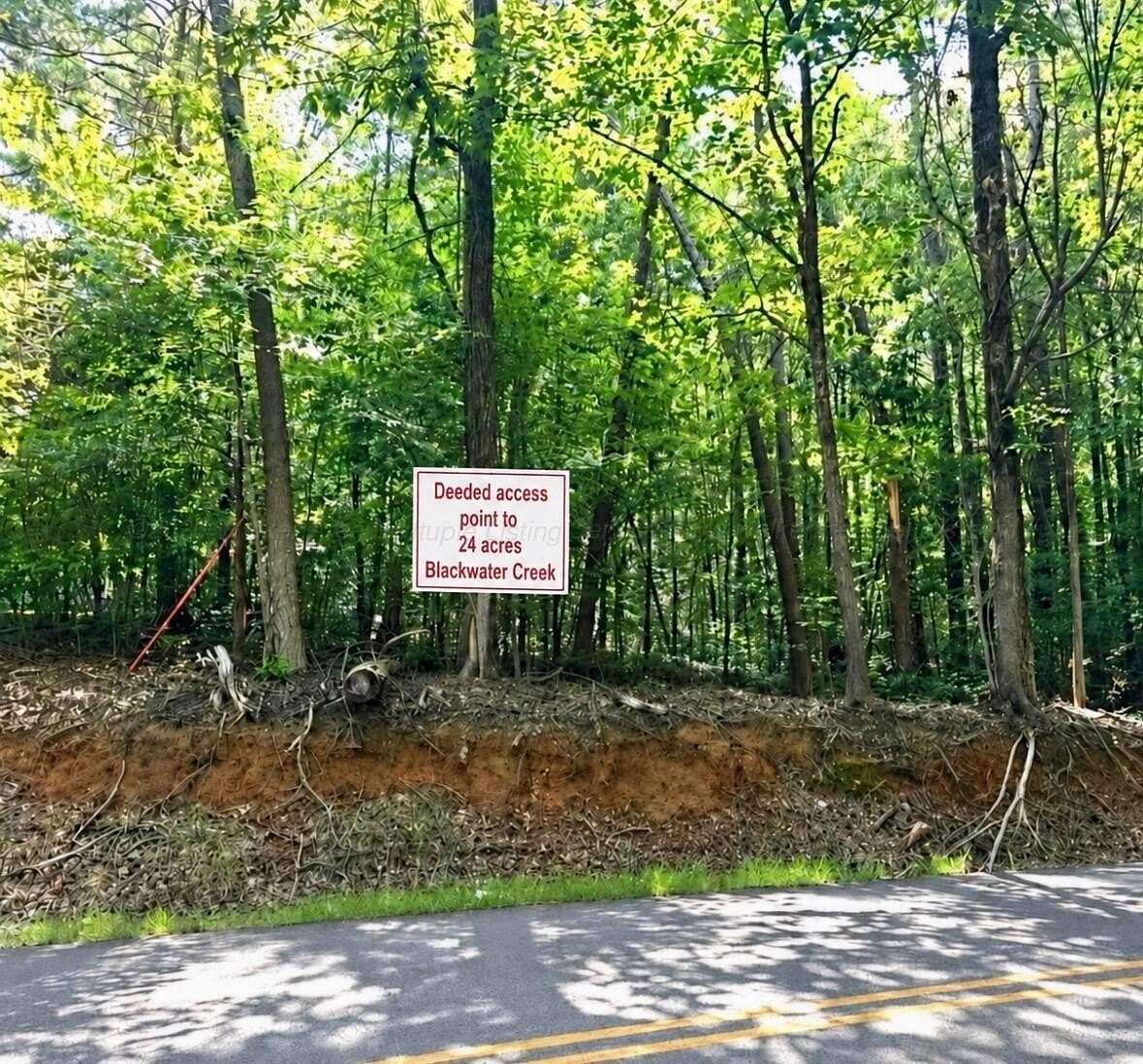 24 Acres of Recreational Land for Sale in Jasper, Alabama