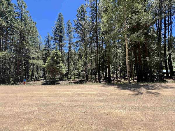 0.55 Acres of Residential Land for Sale in Angel Fire, New Mexico