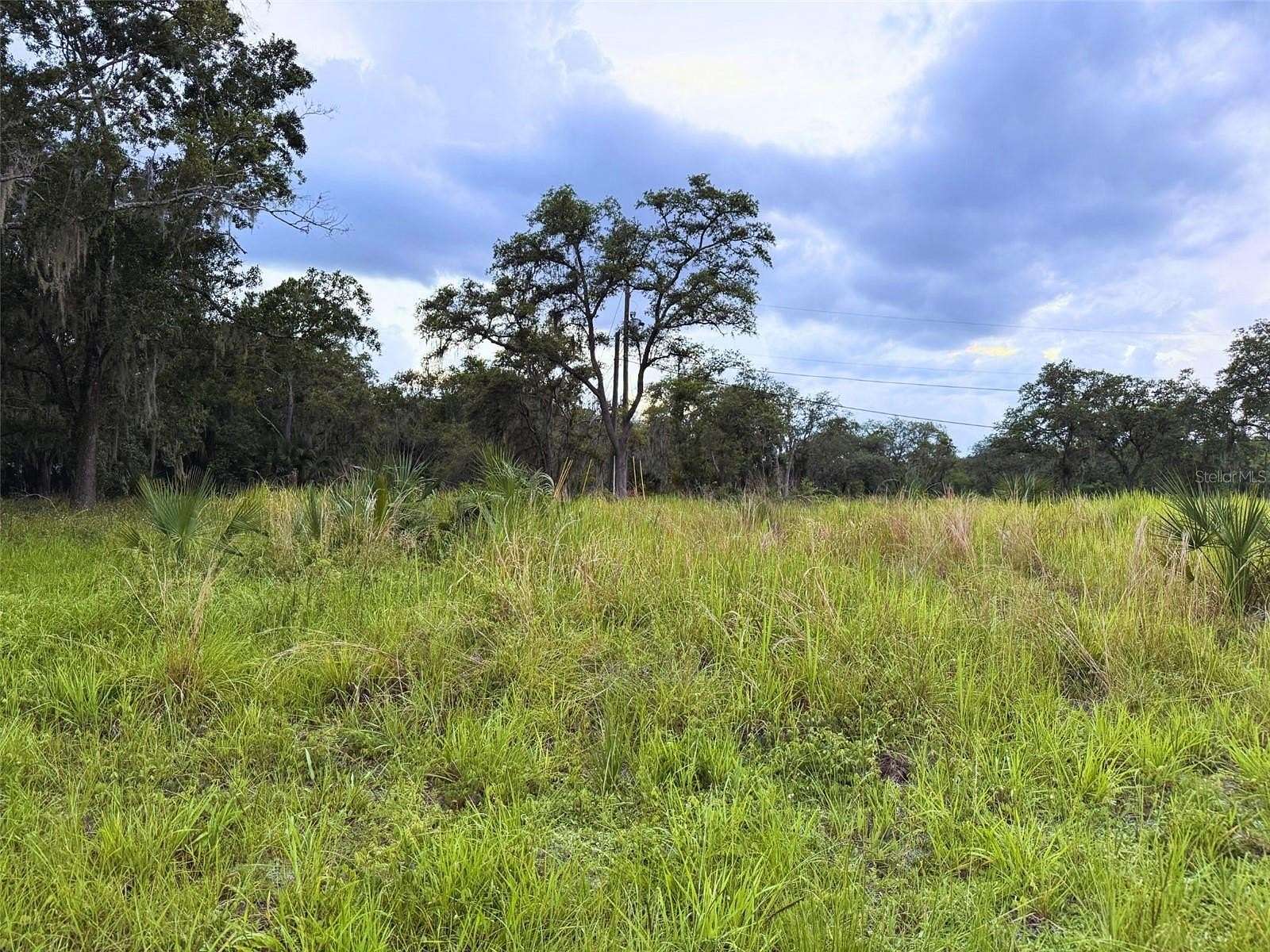 0.19 Acres of Residential Land for Sale in Davenport, Florida
