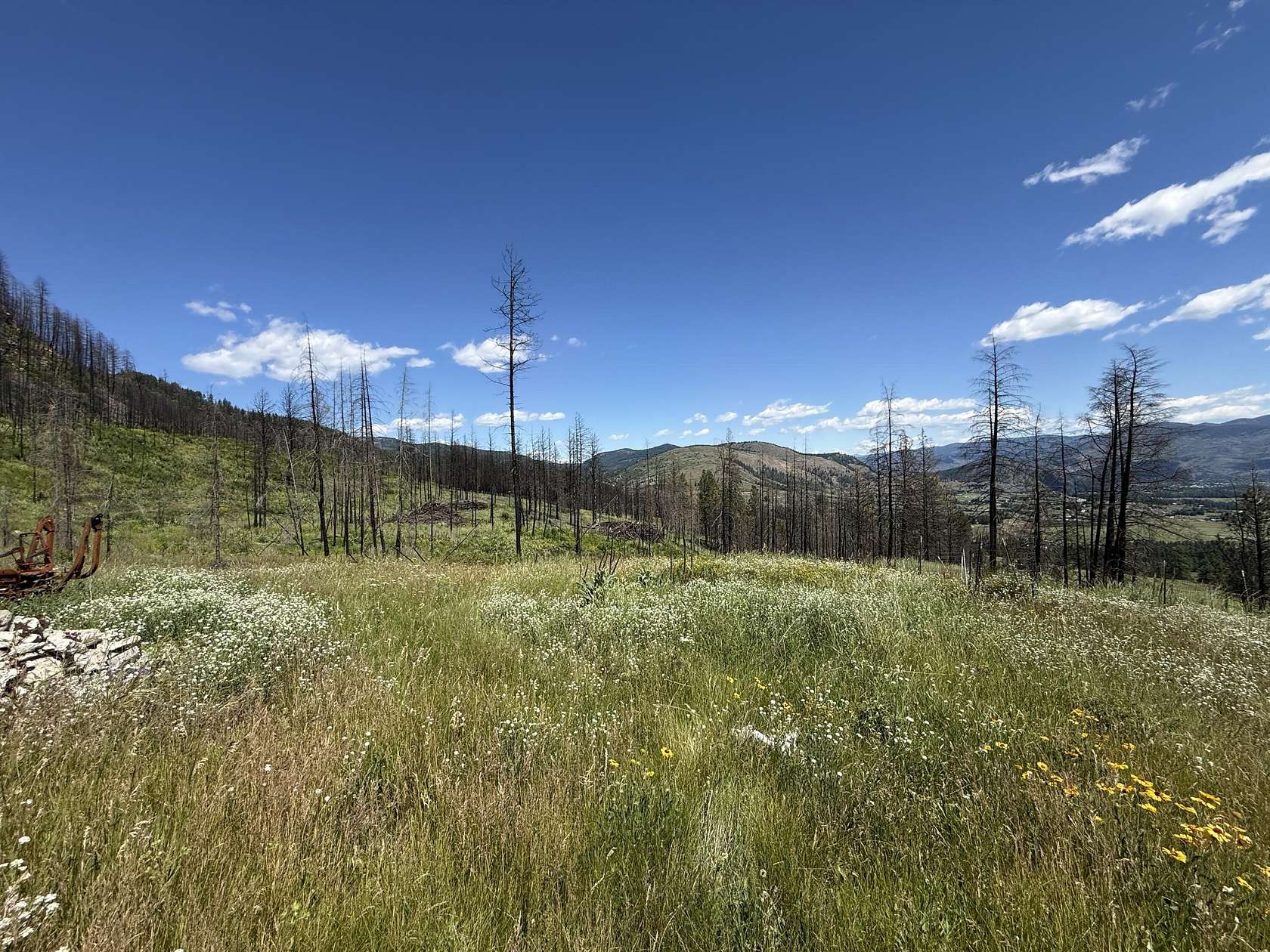 20.5 Acres of Land for Sale in Danville, Washington