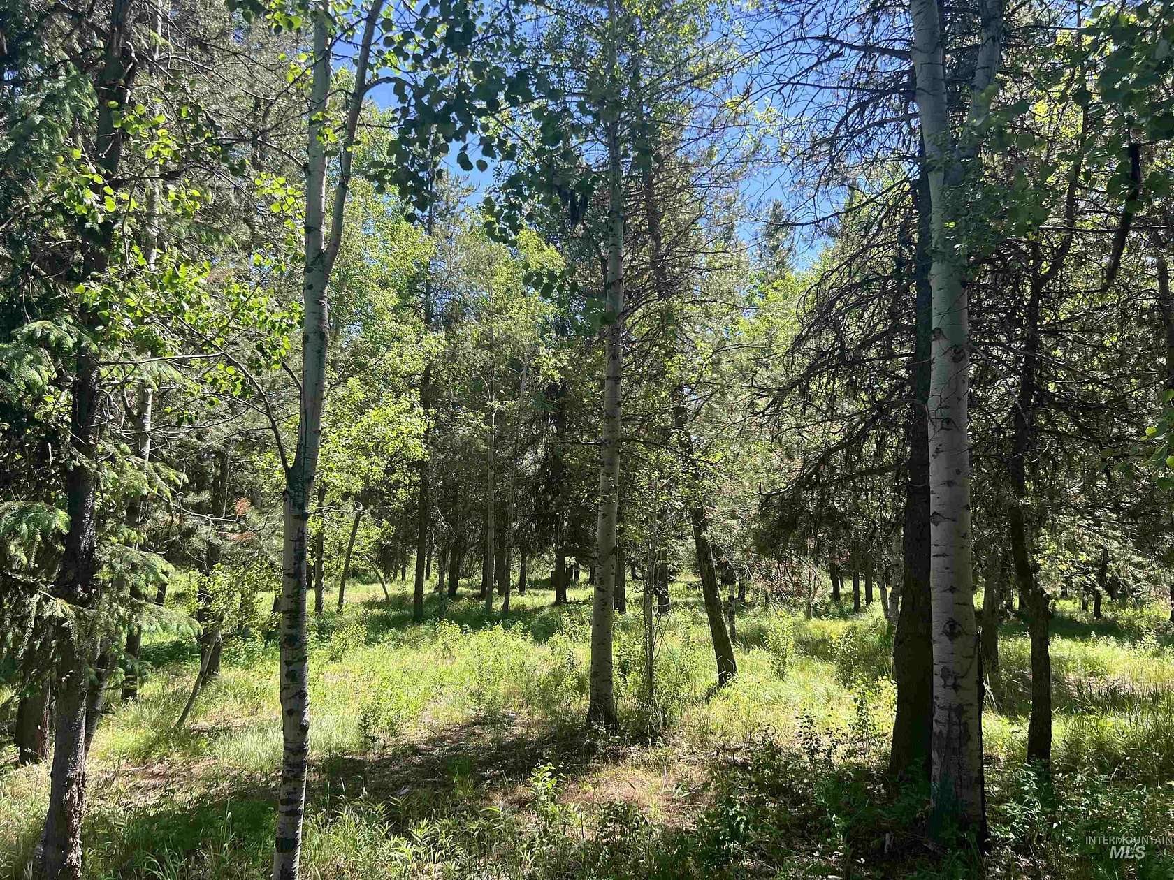 1 Acre of Residential Land for Sale in McCall, Idaho