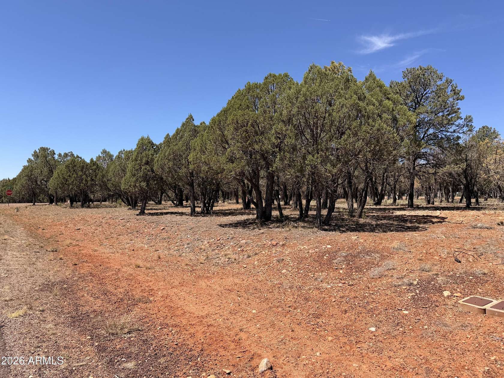 0.88 Acres of Residential Land for Sale in Overgaard, Arizona