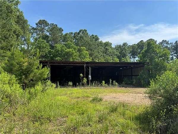 27.3 Acres of Agricultural Land for Sale in Ponchatoula, Louisiana