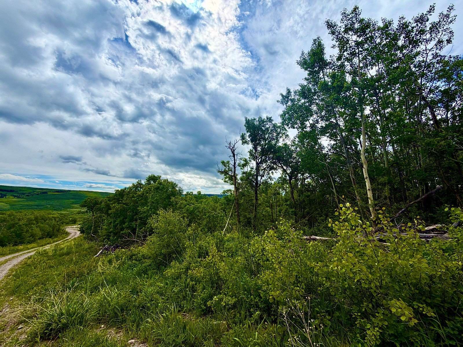 5 Acres of Land for Sale in Babb, Montana