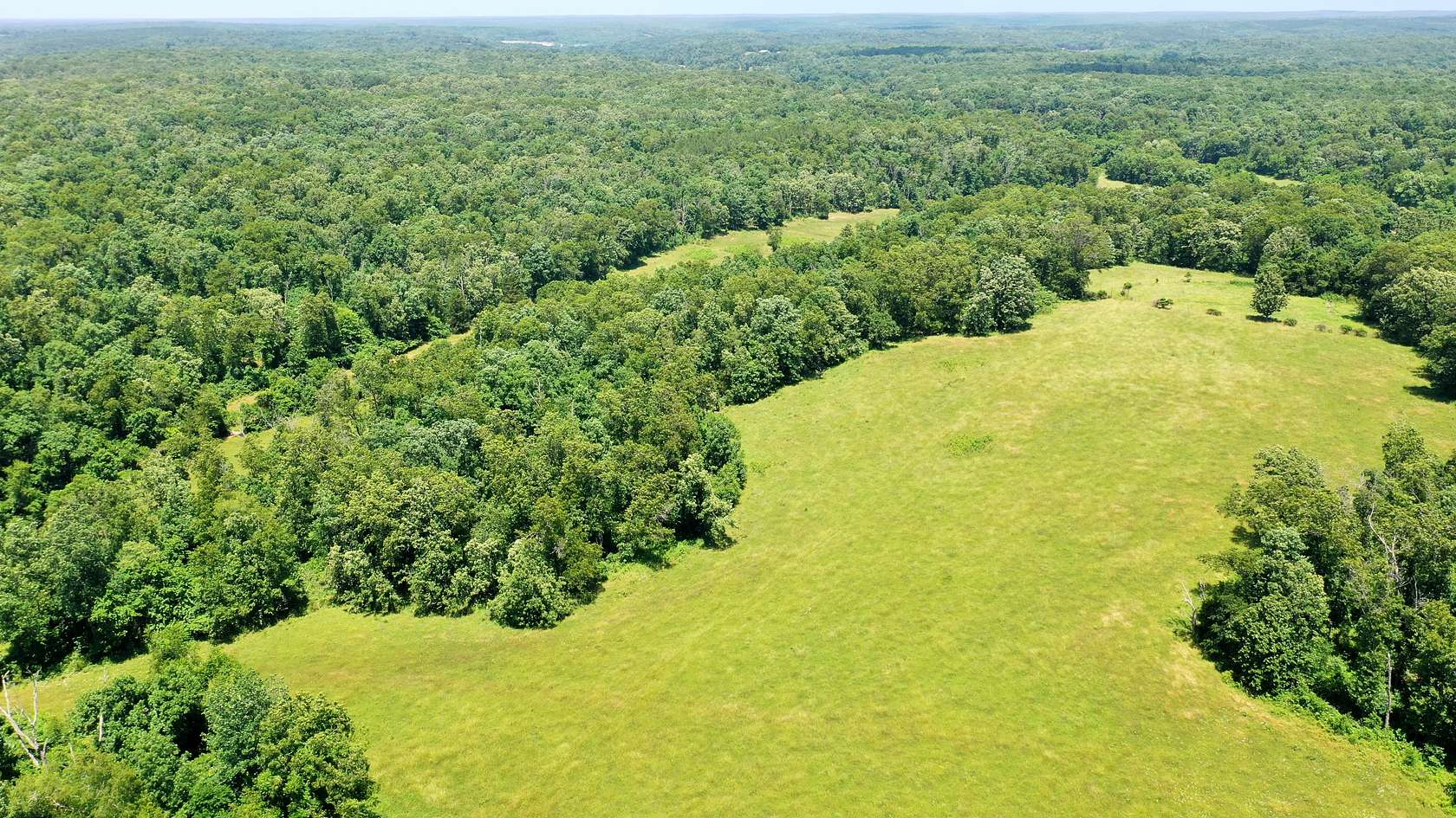 80 Acres of Land for Sale in Salem, Missouri