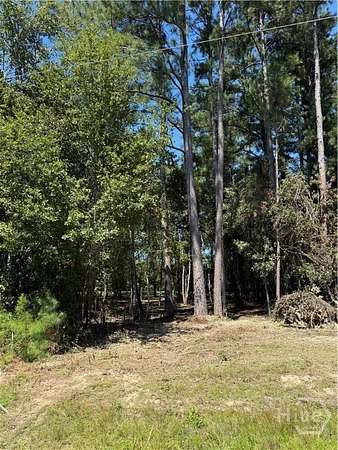 1 Acre of Residential Land for Sale in Sylvania, Georgia