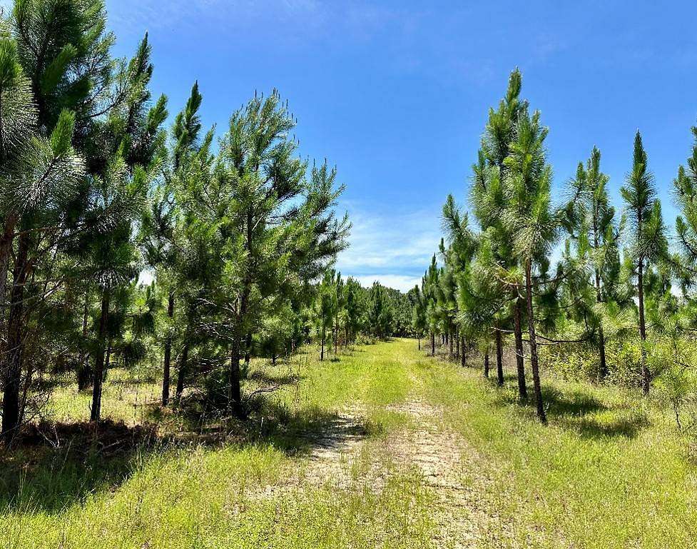 168 Acres of Recreational Land for Sale in Troy, Alabama