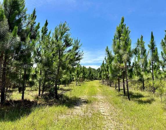 168 Acres of Recreational Land for Sale in Troy, Alabama