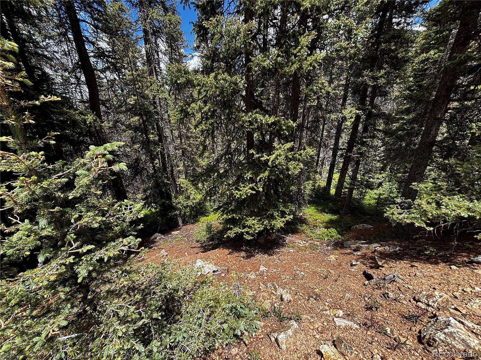20 Acres of Recreational Land for Sale in Fort Garland, Colorado