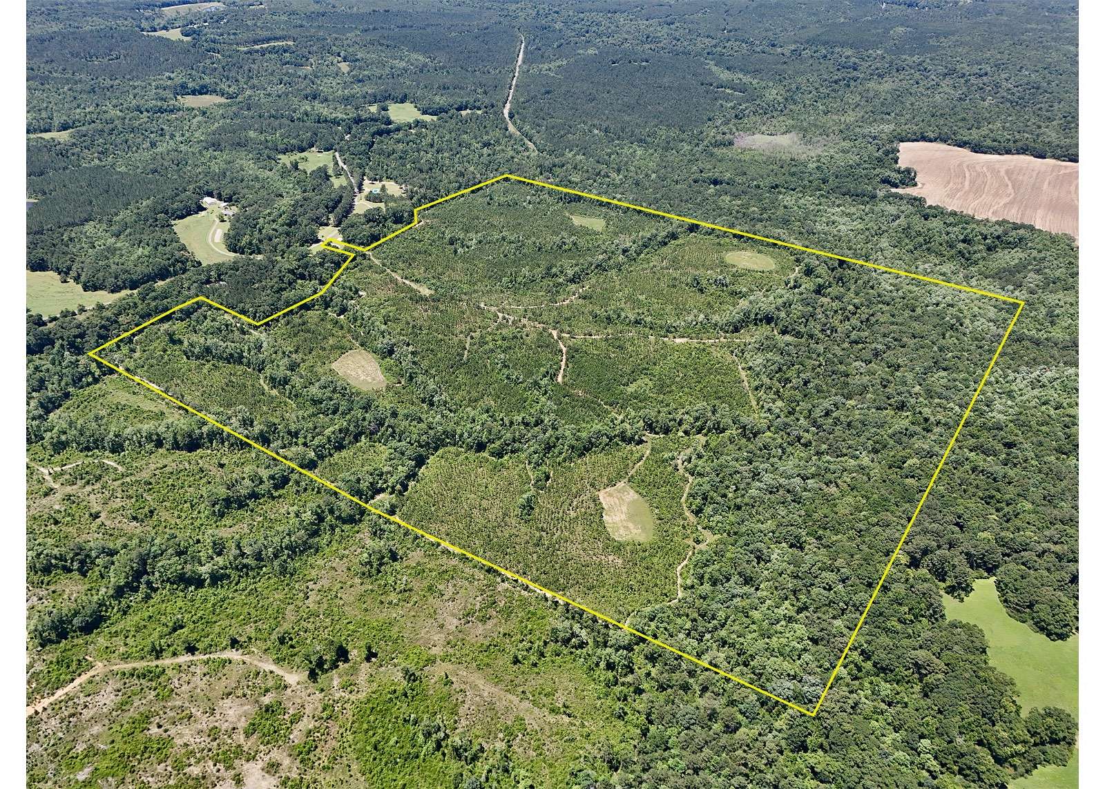 168 Acres of Land for Sale in Troy, Alabama
