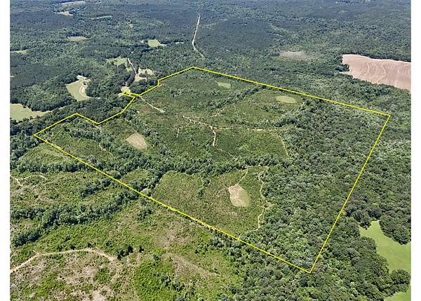 168 Acres of Land for Sale in Troy, Alabama