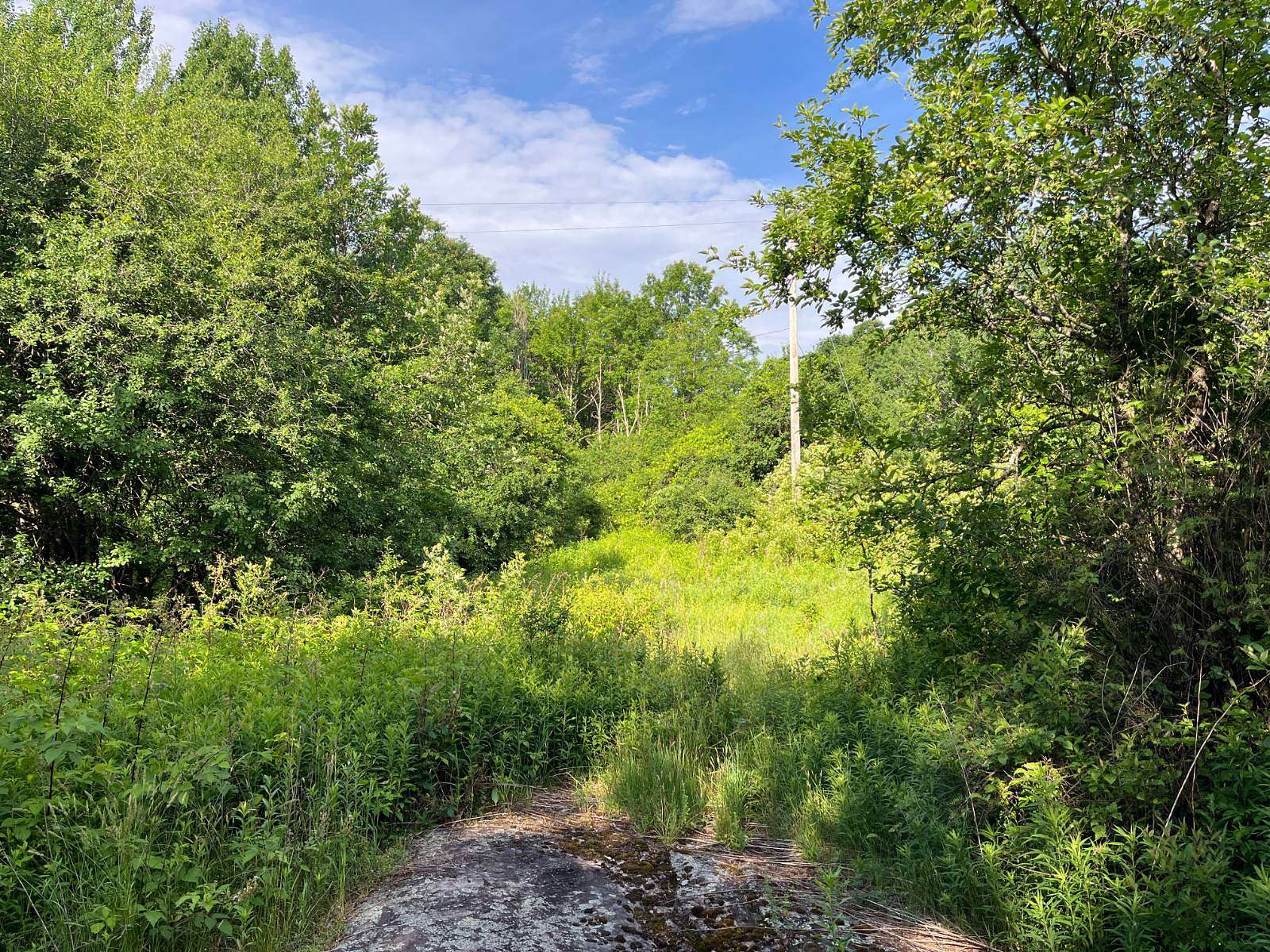 11 Acres of Recreational & Residential Land for Sale in Canton, New York
