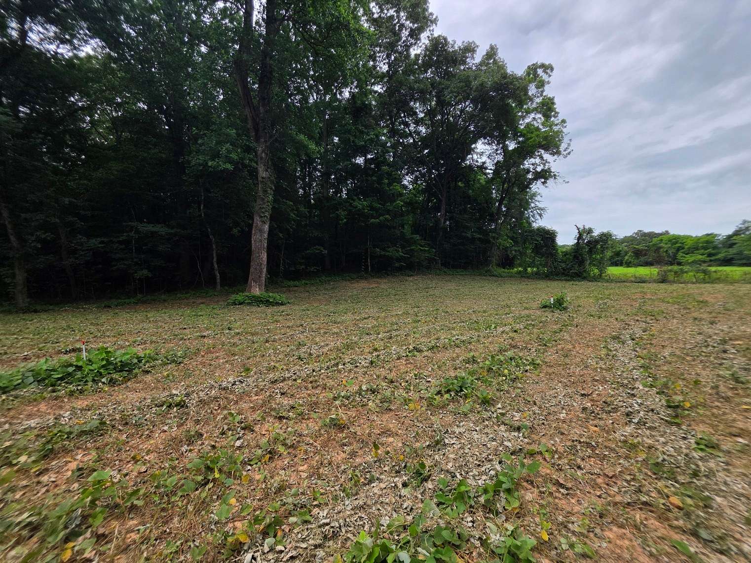 5 Acres of Residential Land for Sale in McMinnville, Tennessee