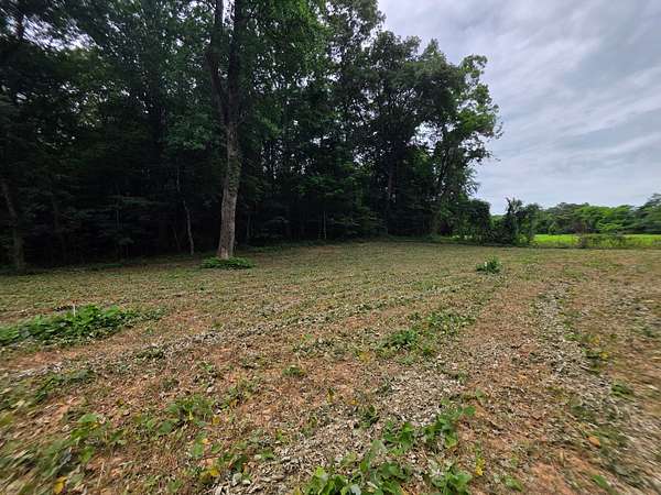 5 Acres of Residential Land for Sale in McMinnville, Tennessee