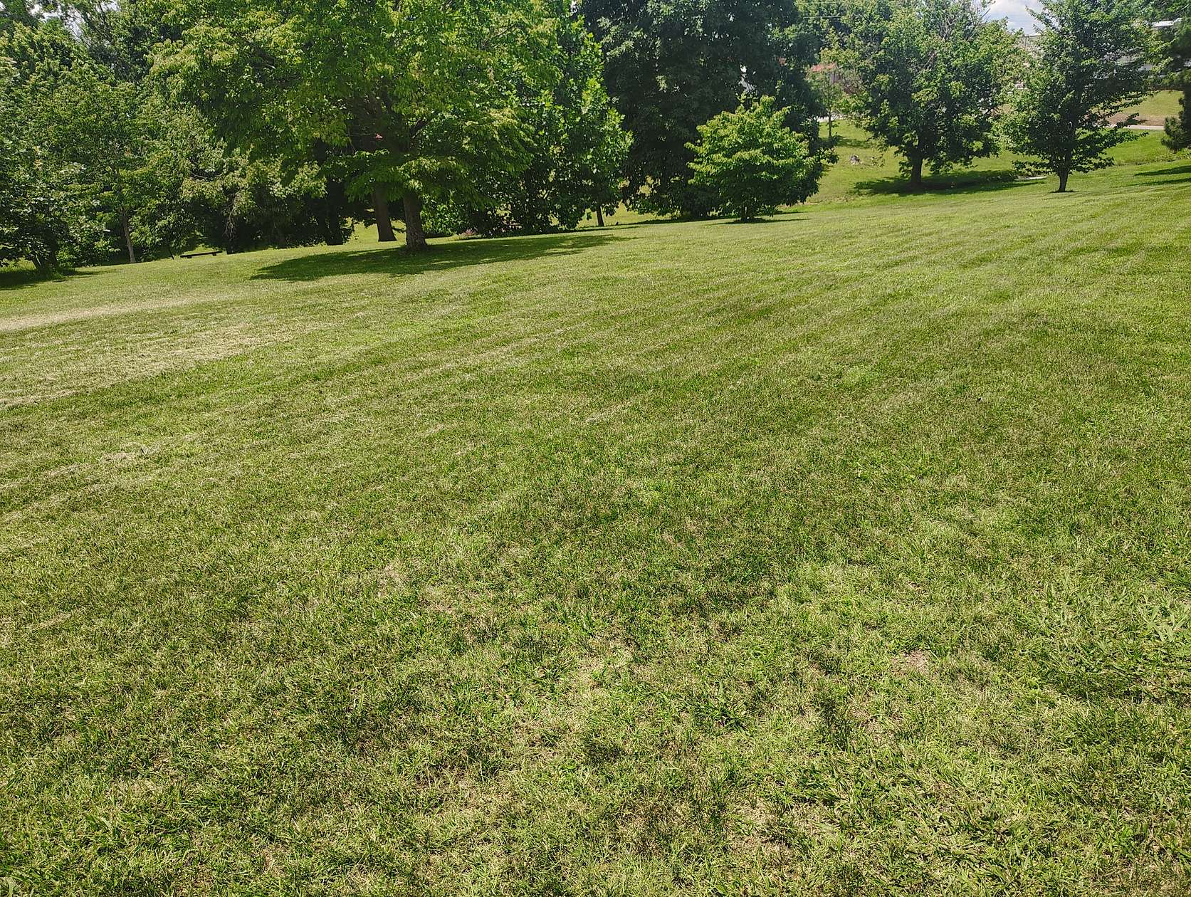 1.19 Acres of Residential Land for Sale in Lafayette, Tennessee