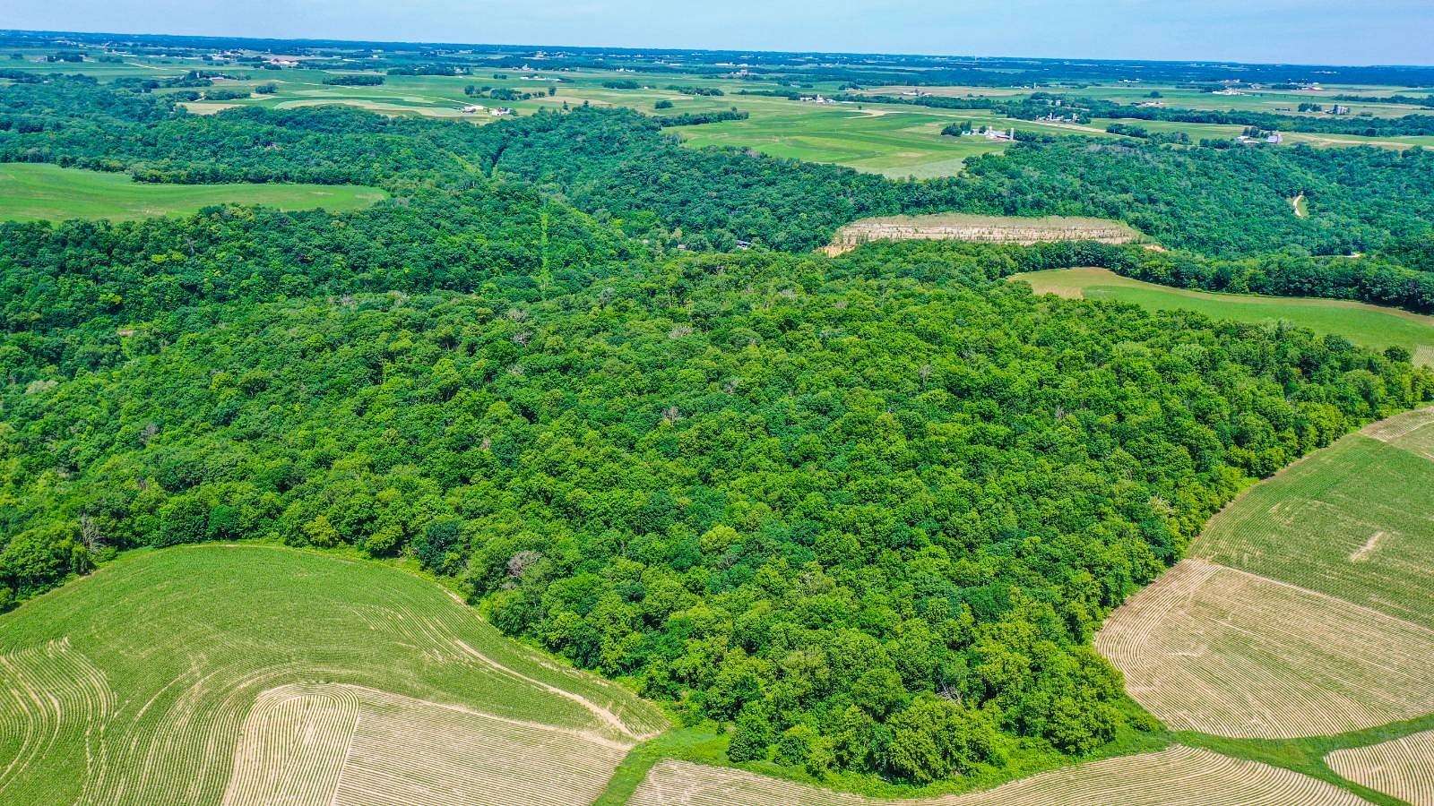 40 Acres of Land for Sale in Winona, Minnesota