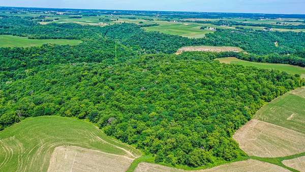 40 Acres of Land for Sale in Winona, Minnesota