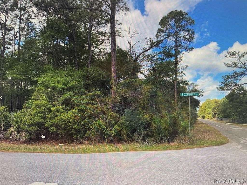 1.16 Acres of Residential Land for Sale in Crystal River, Florida
