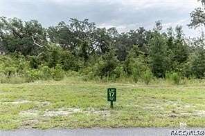 5.4 Acres of Residential Land for Sale in Oxford, Florida