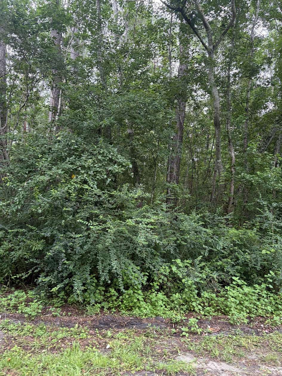 5 Acres of Residential Land for Sale in Greenville, Florida