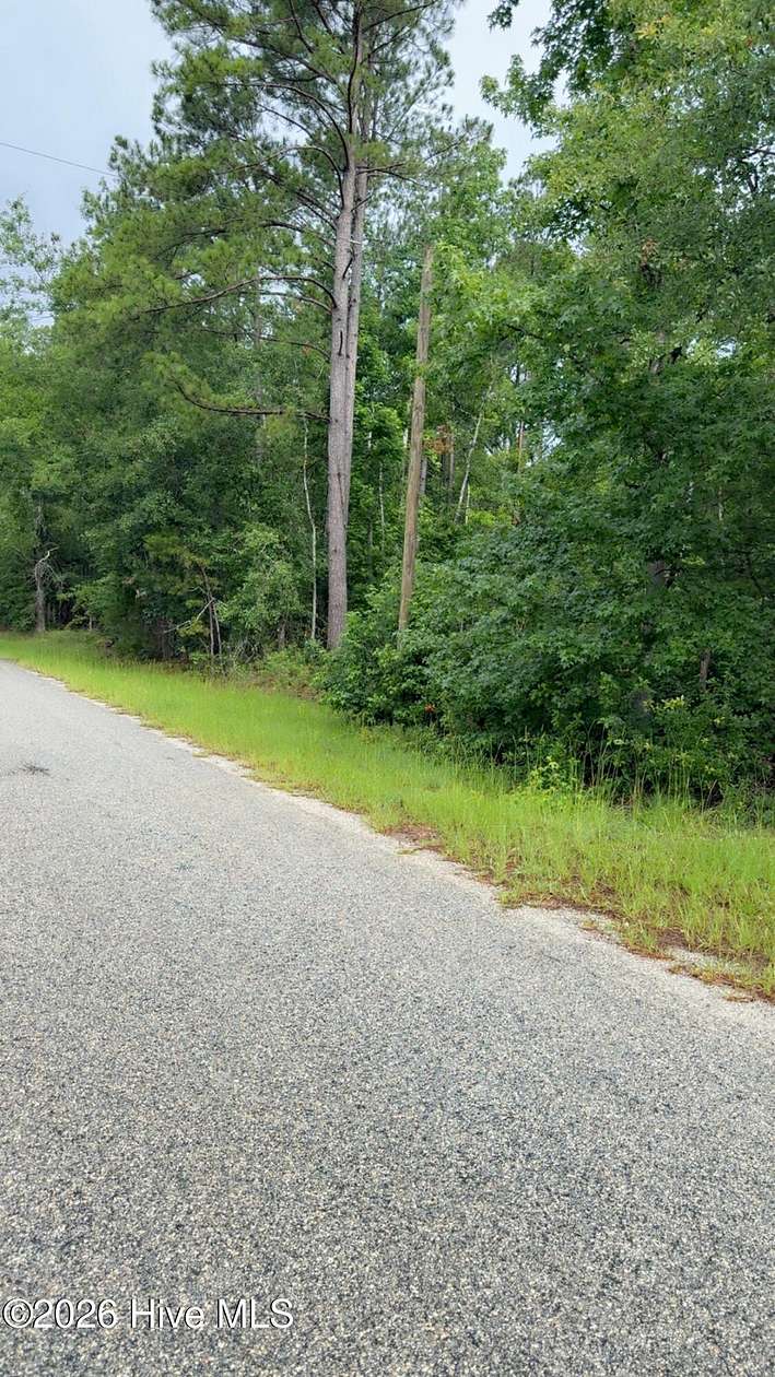 2 Acres of Residential Land for Sale in Waynesboro, Georgia