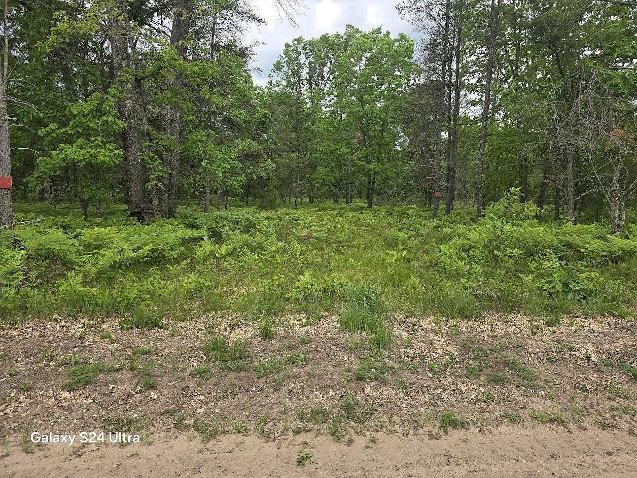 5 Acres of Land for Sale in Baldwin, Michigan